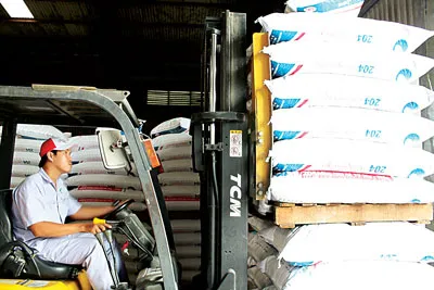 Sản xuất đầu năm tại Doanh nghiệp tư nhân Cỏ May (Đồng Tháp)