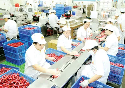 Sản xuất hàng phục vụ bình ổn giá thị trường ngay từ 11-2 (mùng 2 tết) tại Công ty Vissan. Ảnh: Phạm Kim Ngân