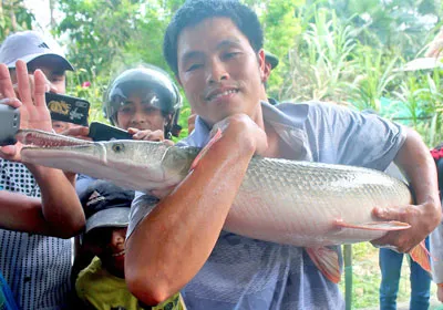 Hà Tĩnh: Bắt được cá lạ 7,5kg