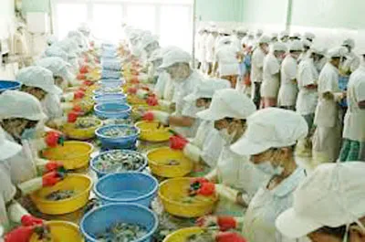 Mỹ công nhận doanh nghiệp xuất khẩu tôm Việt Nam không bán phá giá