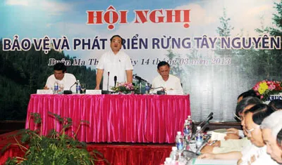 Phải bảo vệ rừng Tây Nguyên