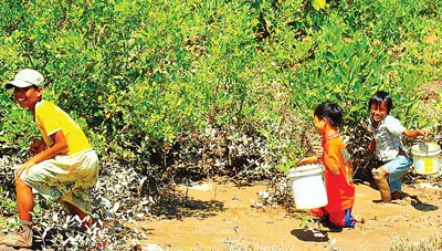 Mong manh tìm chữ