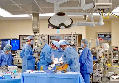 Nước Mỹ hoang mang vì người hiến tạng nhiễm bệnh dại