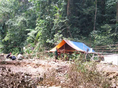 Vụ 5 người tìm trầm bị giết dã man: Hai nhân chứng vào Quảng Trị nhận dạng một số đối tượng