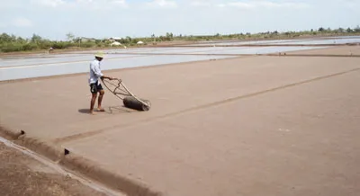 Xót xa muối đắng