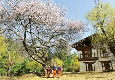 Bhutan yên bình ảnh 7