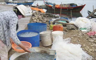 Sò huyết Ô Loan “đổi hình thay dạng”