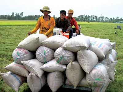 Khai mạc phiên họp thứ 17 Ủy ban Thường vụ Quốc hội