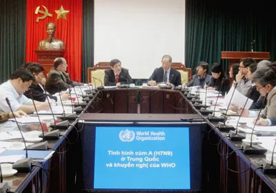 Virus cúm A/H7N9 dễ xuất hiện trên động vật có vú