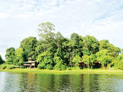 Nếu triển khai các dự án thủy điện tại Bàu sấu, rừng Nam cát Tiên (Đồng Nai) sẽ ảnh hưởng đến môi trường và cuộc sống sinh hoạt của người dân ở vùng hạ du, trong đó có TPHCM. Ảnh: TI BA