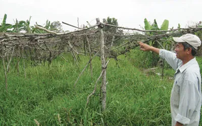 Dân điêu đứng vì dự án “rùa”