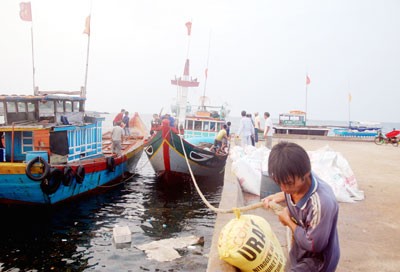 Fishing boats of fishermen (Photo: SGGP) Fishermen (Photo: SGGP) Fesh fishes are transported ashore(Photo: SGGP) (Photo: SGGP) (Photo: SGGP)