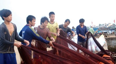 Fishermen (Photo: SGGP) Fesh fishes are transported ashore(Photo: SGGP) (Photo: SGGP) (Photo: SGGP)