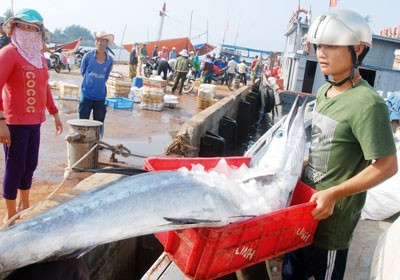 (Photo: SGGP) (Photo: SGGP)