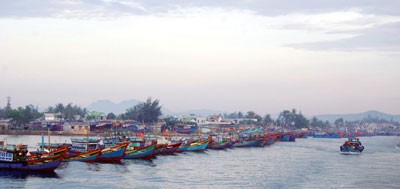 A fishing fleet in Quang Ngai Province (Photo: SGGP)