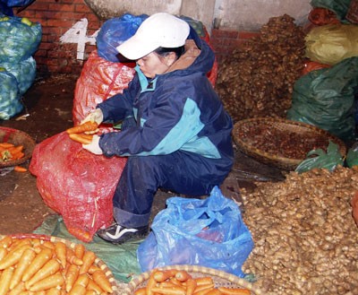 A trader in Long Bien Wholesale Market in Hanoi with Chinese ginger (Photo: SGGP)