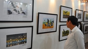 Visitors at the National Art Photography Exhibition in the northern city of Hai Phong (Source: Vov.vn)