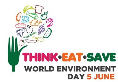 Hue residents walk to propagate World Environment Day 2012