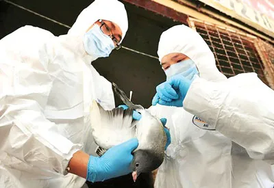 Các nhà khoa học quốc tế cảnh báo virus siêu cấp của Trung Quốc có thể gây đại dịch toàn cầu