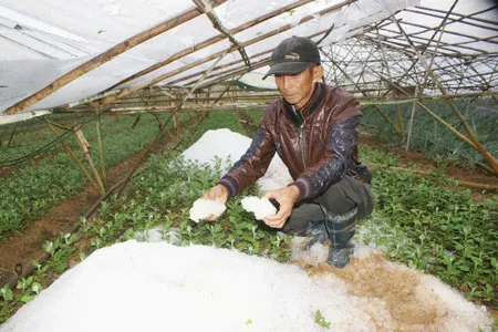 Mưa đá dữ dội tại Đà Lạt ảnh 2