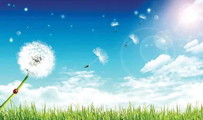 Dấu chân qua trảng cỏ