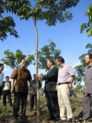 Ông Đoàn Nguyên Đức: Cáo buộc của Global Witness sai đến 99,9%