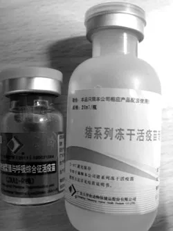 Đường đi của vaccine “siêu rẻ”