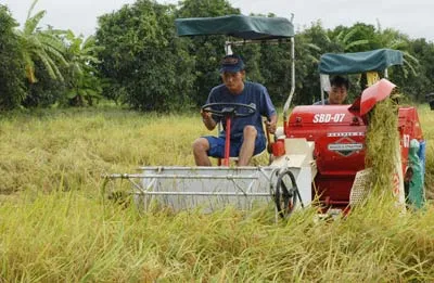 Tăng tốc xuất khẩu gạo, kích giá thị trường