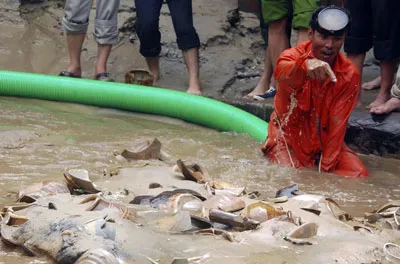 Phần đuôi tàu được xác định chứa nhiều cổ vật nhất.