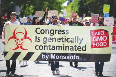 Tranh cãi về sản phẩm biến đổi gien