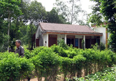 Mảng xanh hiếm hoi những mảnh làng nghèo. Họ nói có điều kiện thì cũng bỏ mảng xanh để xây bờ tường vì sổ đỏ đã cấp đất, phải giữ đất.