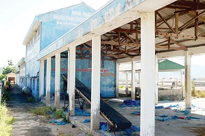 Nhà máy chế biến muối tinh chất lượng cao Sa Huỳnh đã rao bán 3,2 tỷ đồng, như một nhà kho bỏ hoang.