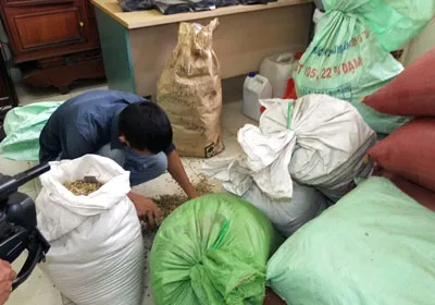 và các phụ gia, đậu nành dùng làm cà phê.