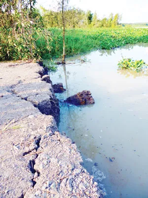 Chống “cát tặc” phải như chống giặc lửa