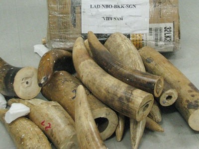 For illustration purpose only (Photo: SGGP)