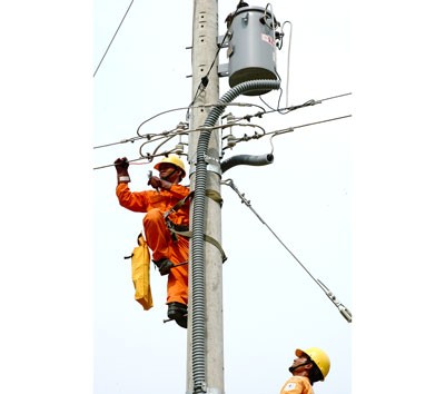 Workers repair power lines in HCMC (Photo: SGGP)