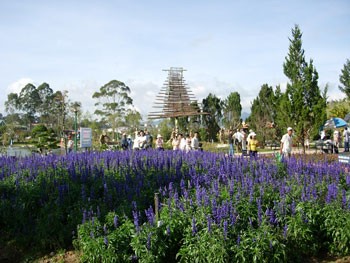The 5th Da Lat Flower Festival takes place in December. (Photo: KK)