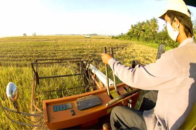 Phát huy vai trò của giai cấp nông dân trong sự nghiệp công nghiệp hóa - hiện đại hóa (*)