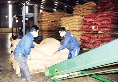 Chống thất thu thuế cà phê