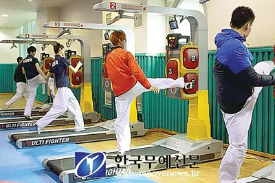 Taekwondo - bao giờ trở lại đỉnh cao?