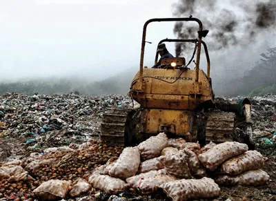 Tiêu hủy khoai tây Trung Quốc nhiễm độc.