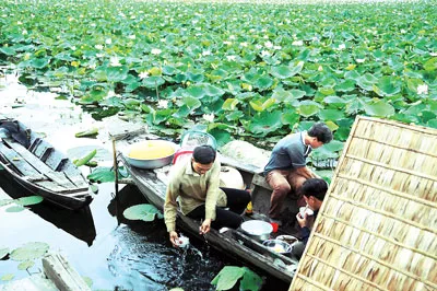 Cuộc sống của người dân trên cánh đồng sen trong mùa thu hoạch.
