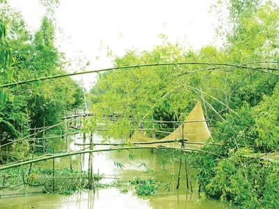 Nhà văn đồng bằng, vượt qua để viết