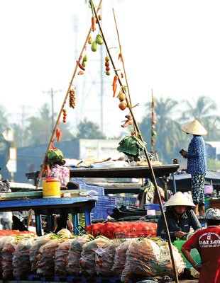 Food services display at floating market Fresh fruit displays at floating market Purchase activities take place at floating market Foreign tourists visit and purchase commodities on river Long Xuyen floating market