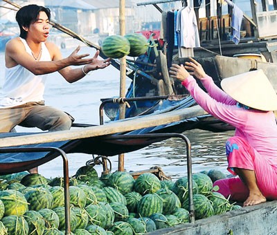 Fresh fruit displays at floating market