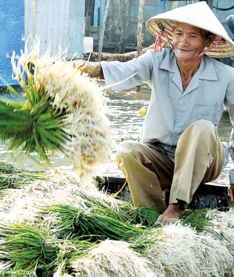 Purchase activities take place at floating market