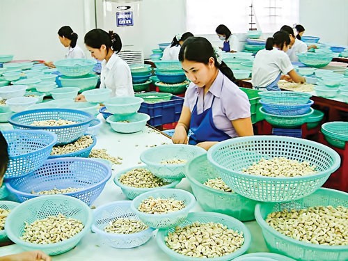 Farm produce should improve quality to increase competitiveness. (Photo: SGGP)