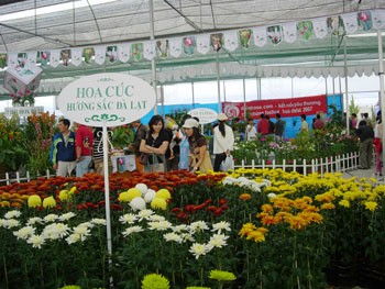 Flower exhibition in Da Lat Flower Festival (Photo:KK)