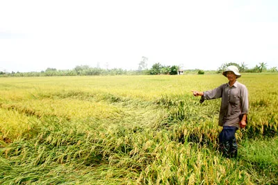 KCN Hưng Phú 2B (Cần Thơ) nhiều năm không giải phóng được mặt bằng. Ảnh: HUY PHONG