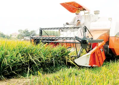 Sẽ cấp hạn mức tín dụng cho hộ nông dân